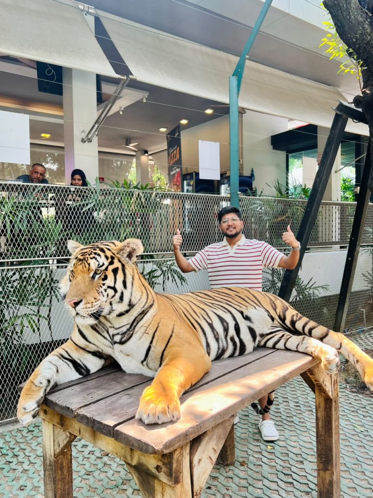 wordpress developer